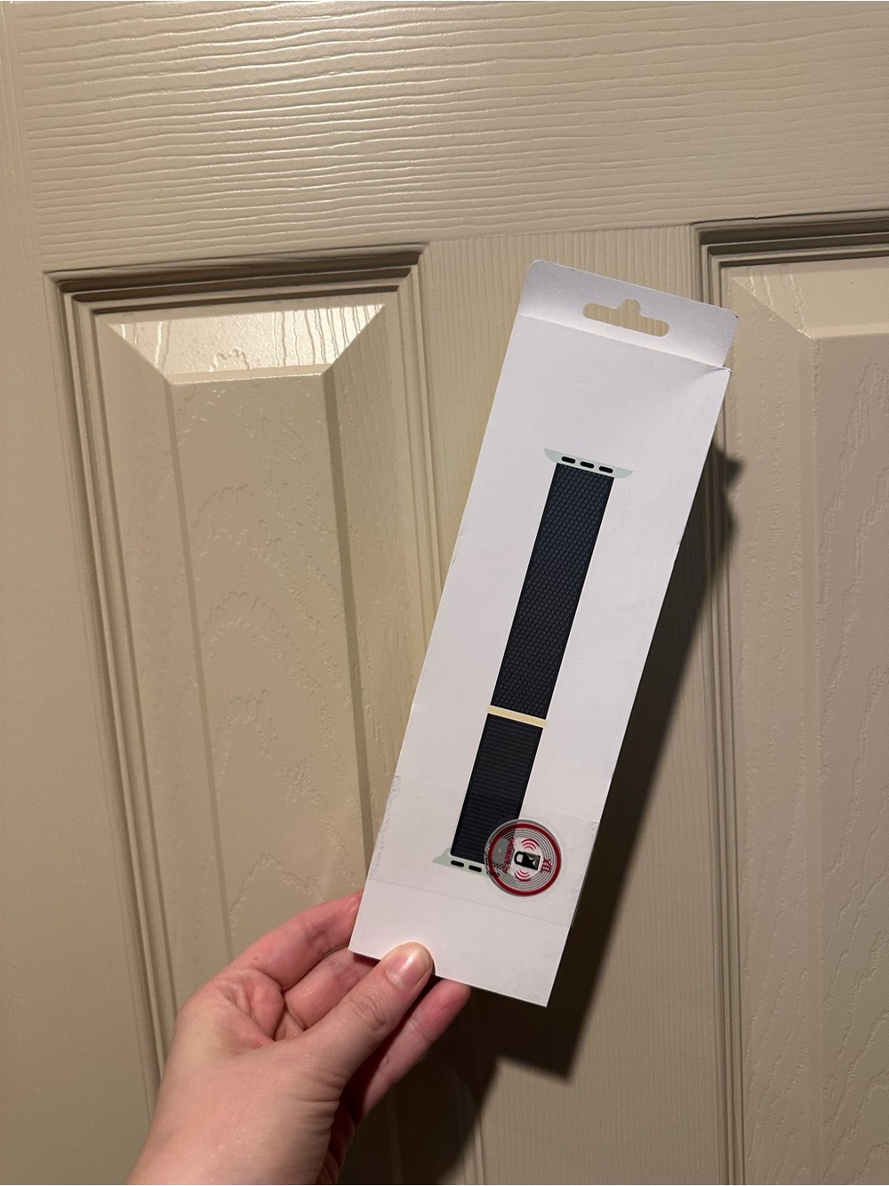 Apple Cypress Sport 41mm Loop Watch Band